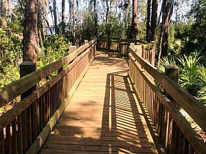 Boardwalk to Buck Lake Dock & Pier Photograph of -
