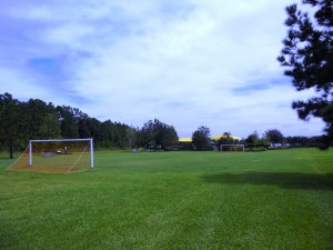 Sports Fields at Lakeshore Park Photograph of -
