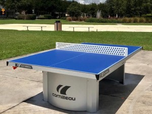 Table Tennis at Lakeshore Park Photograph of -