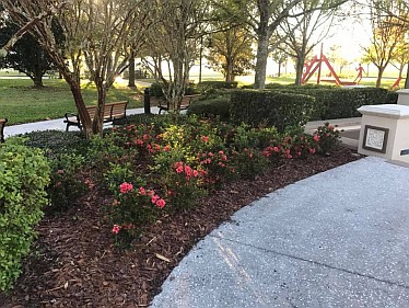 Harmony Square Park Photograph of -