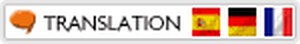 FWT Homepage Translator
